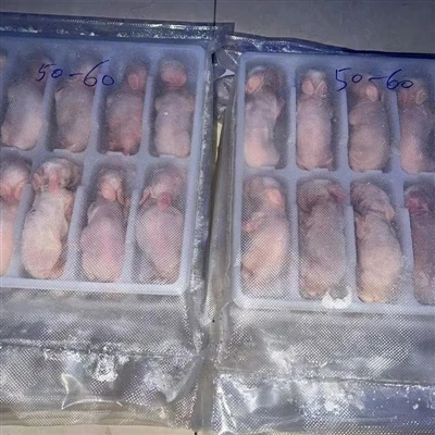 سانپوں کے لئے منجمد چوہوں کی خصوصیات