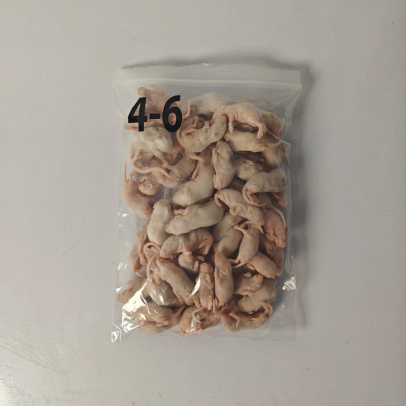 product-800-800