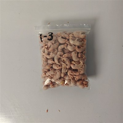 منجمد پنکی چوہوں