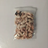 منجمد پنوں چوہوں